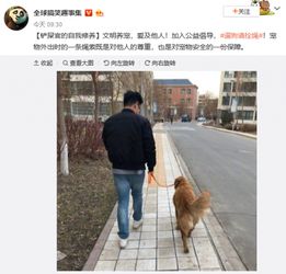  遛狗表情登上热搜微博多样化公益形式被赞有爱