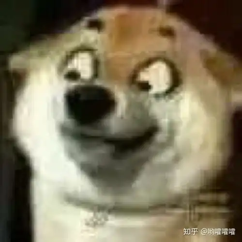  有无回复别人谢谢的表情包例如不用客气什么的最好没字的谢谢