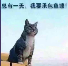  原则胆量敏锐信心记录二十万本金的复利之路2018年10月22日