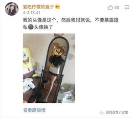  妈妈总嫌弃我微信头像不好看