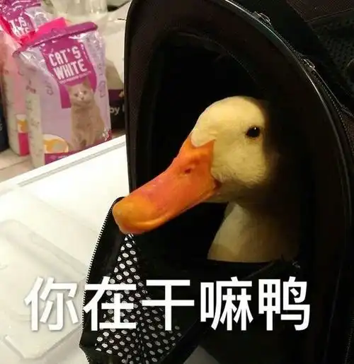  幽默笑话,我问他为什么考这么好,没什么,抄着抄着就全都会了
