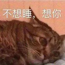  热门表情包大合集丨听我狡辩
