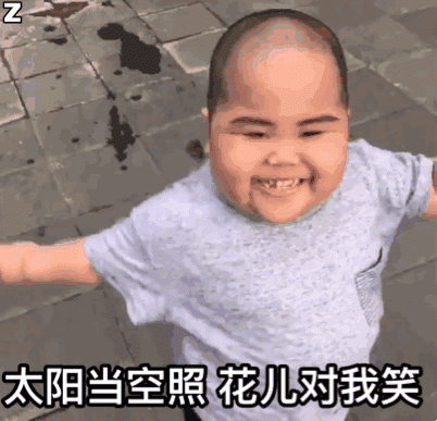  没人能用表情包里胜过我,除非让它变成二次元