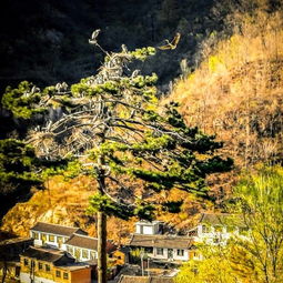  天津周边这10处森林公园避暑赏花洗肺收藏起来