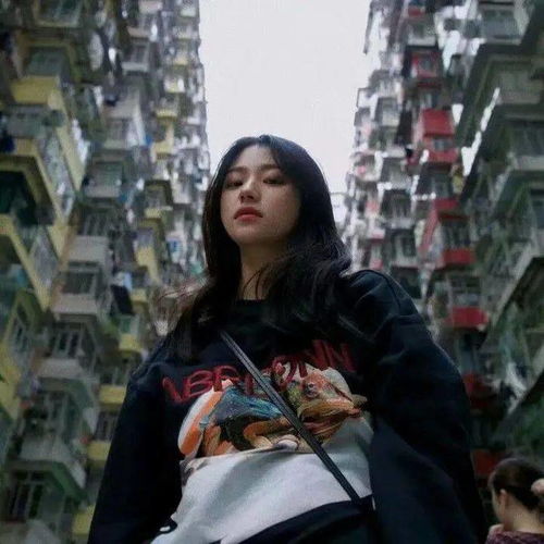  一组高冷又可爱的头像