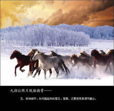  ps合成雪原奔跑的骏马