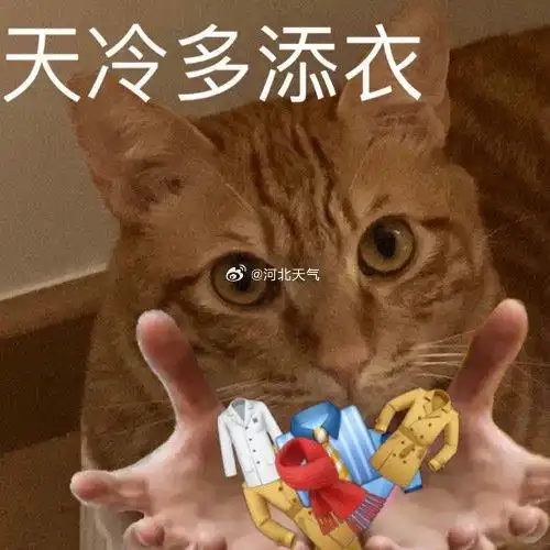 小猫击掌表情包冷空气