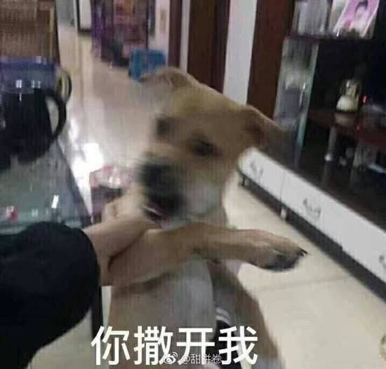 奔跑吧大乔王者荣耀将推出户外真人秀