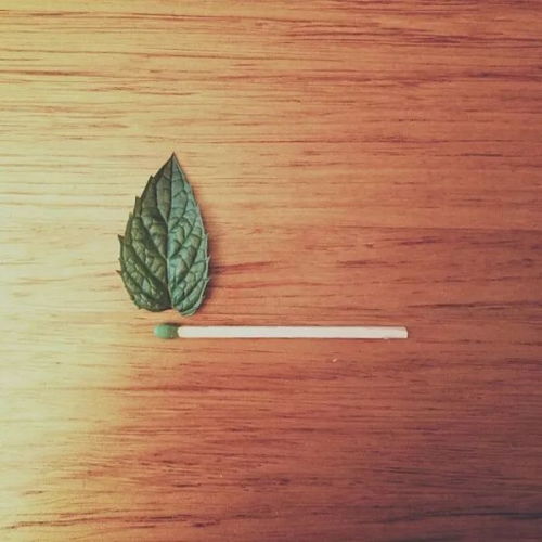 创意新奇有想法的微信头像
