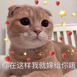 我想你了表情包哈哈哈