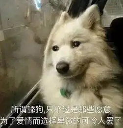  2018年最伤人流行词舔狗,舔到最后一无所有