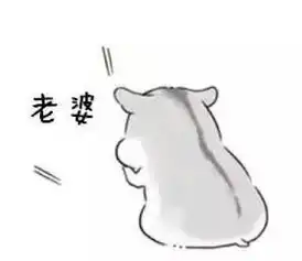  仓鼠表情包老公常用语表情包我养你啊