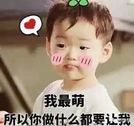  表情包扛把子我只服宋民国