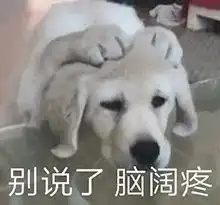  沙雕可爱表情包我累了