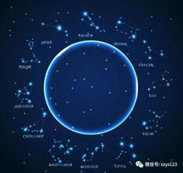  能够让老公深爱自己的星座排行