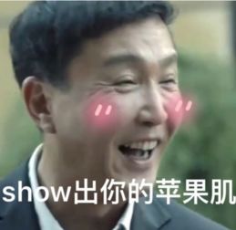 不正经表情包正经人
