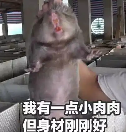  华农兄弟表情包
