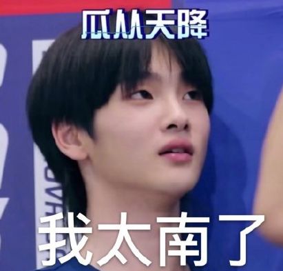  你周震南了是什么梗