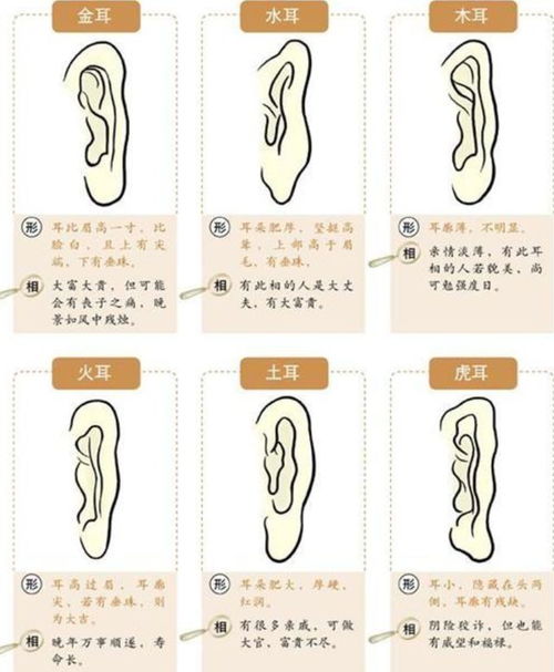  什么面相的人运气好这4个部位越大,家庭越好,一项运动来帮忙