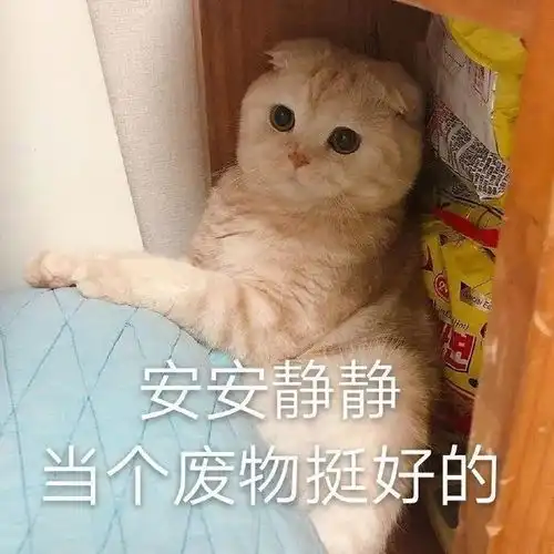 狗东西表情包小三