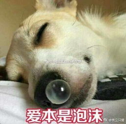 喂你们的男朋友都是哪儿找的
