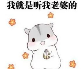  太想跳舞怎么办湖南农村一夫妻自费18万修广场