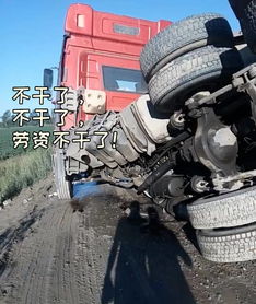  卡车人专属表情包哈哈哈哈哈哈哈哈哈哈哈哈哈哈哈哈哈哈哈