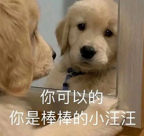  怎样才能烫成渣女大波浪而不是小组头像泡面头