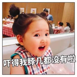  必备最火仙女必备表情包小刚几你居然还不知道附全套表情包下载