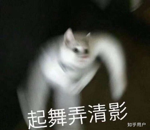  随便看看