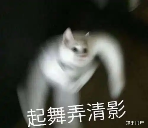 小猫击掌表情包沙雕