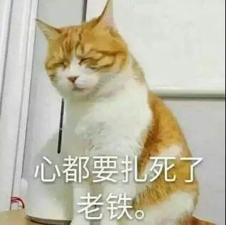  上一秒车震,下一秒车祸,史上最惨男主