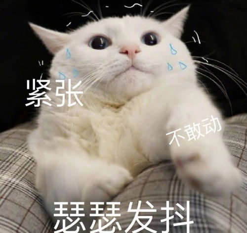  搞笑表情包想你了,宝
