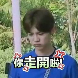  鹿晗表情包亲情上线,你准备好了么