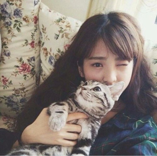  国庆假期把猫独自放家,回来后猫咪竟这样...