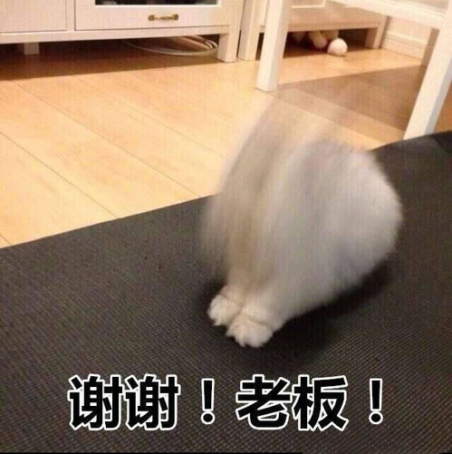  游戏速递倩女手游5大彩蛋揭秘去世界抢红包咯