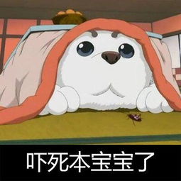  求银魂的表情包要带字的最好是银时的表情我是银桑的后宫之一呀