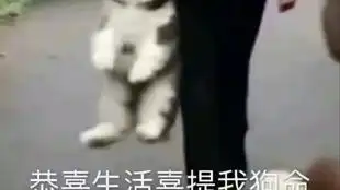  既然对面给机会了,那就四趴吧