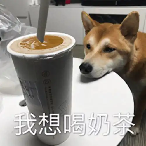  奶茶表情包合集在吗哥哥,请我喝奶茶嘛