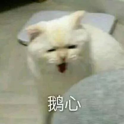  你不胖,只是毛茸茸的