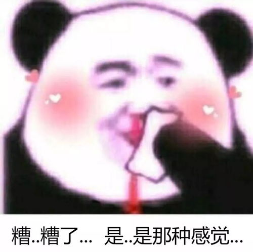  千万别听东北话哈哈哈哈哈哈哈哈哈哈哈哈哈哈哈哈哈哈