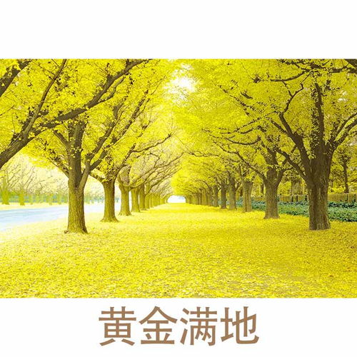  鸿运当头山水画墙贴风景纸画餐厅客厅装饰画墙画壁画海报风水国画