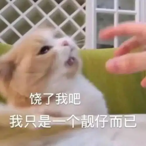 我太难了表情包搞笑版白