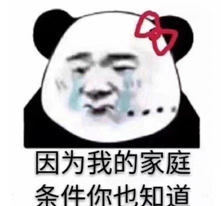 表情包里藏字对不起