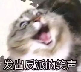  误闯反派后花园的我活着的几率大概没有1