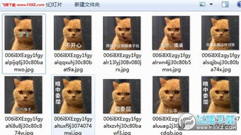  暗中委屈橘猫表情包