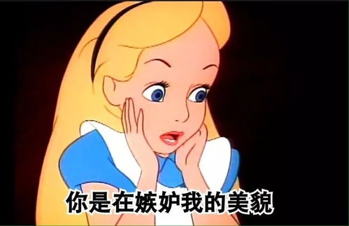  今日份沙雕表情包我又不敢顶嘴
