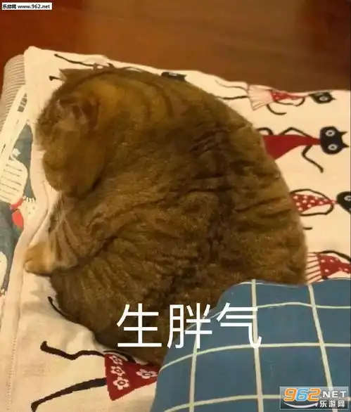  你为什么不戴口罩图片生胖气表情包下载乐游网游戏下载