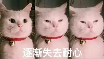  史诗级赖账借完3000块钱,男子足足演了半年的戏...聊天记录曝光