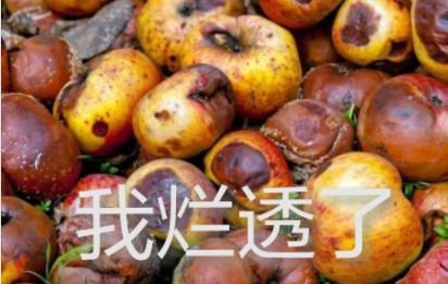  当代青年的真实描图我想开了,我自闭了
